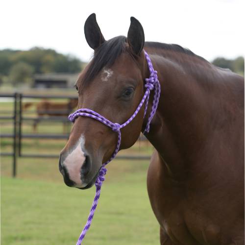 Equisential Rope Halter