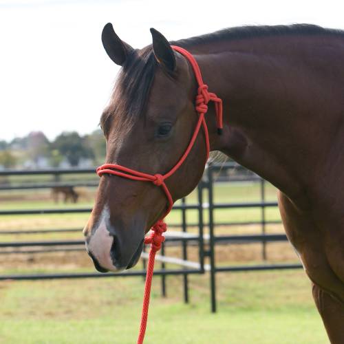 Equisential Rope Halter