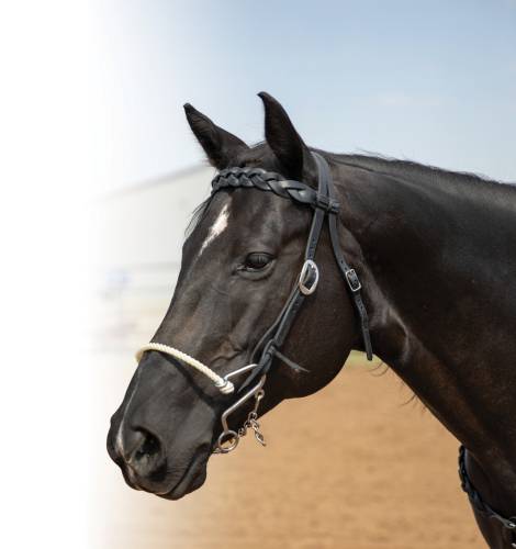 Black Infinity Braid 3/4" Browband Headstall