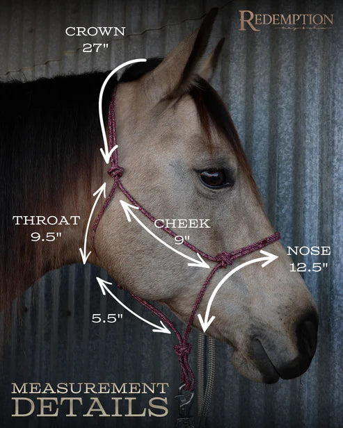 Special Edition Redemption Halter & Lead Rope- Black/Raspberry Set