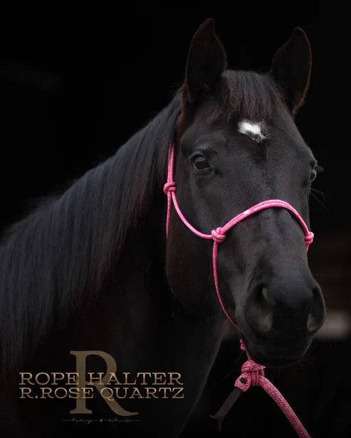 Redemption Rope Halters by Hay Chix