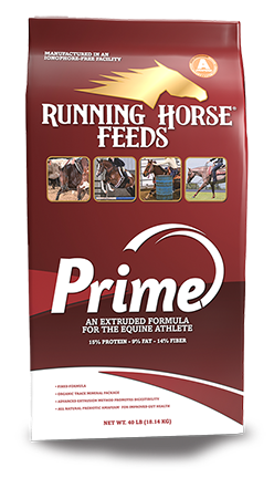 RH PRIME-40 lb