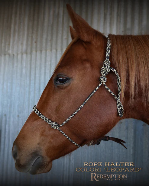 Redemption Rope Halters by Hay Chix