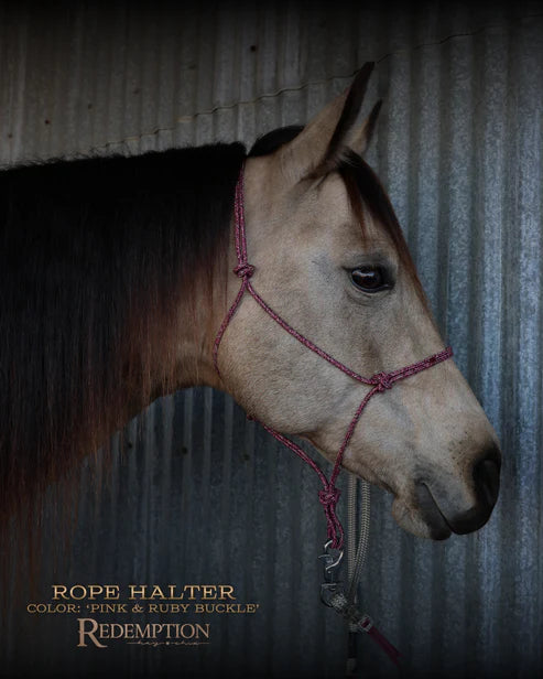 Redemption Rope Halters by Hay Chix
