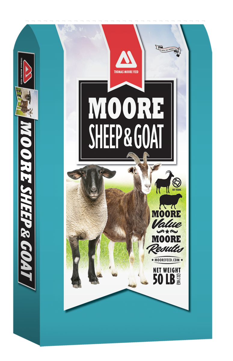 Sheep & Goat 16 W/DQ
