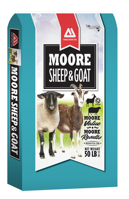 Sheep & Goat 16 W/DQ