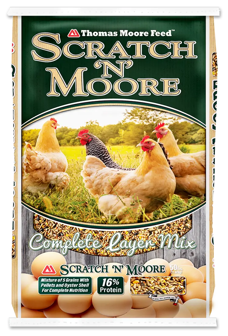 SCRATCH N MOORE ~ IN STORE ONLY!