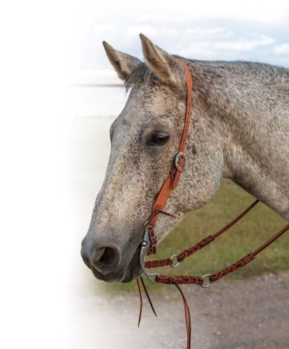 Tapered Natural Roughout Gunslinger Slit-Ear Headstall