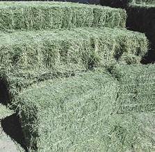 Alfalfa 3 Strand