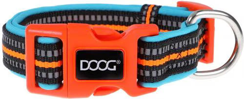 Doog Beethoven Collar
