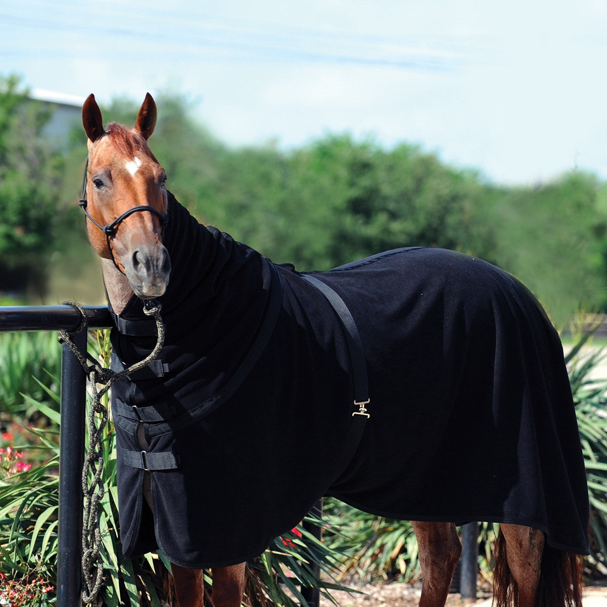 Classic Equine Polar Fleece Cooler Premium