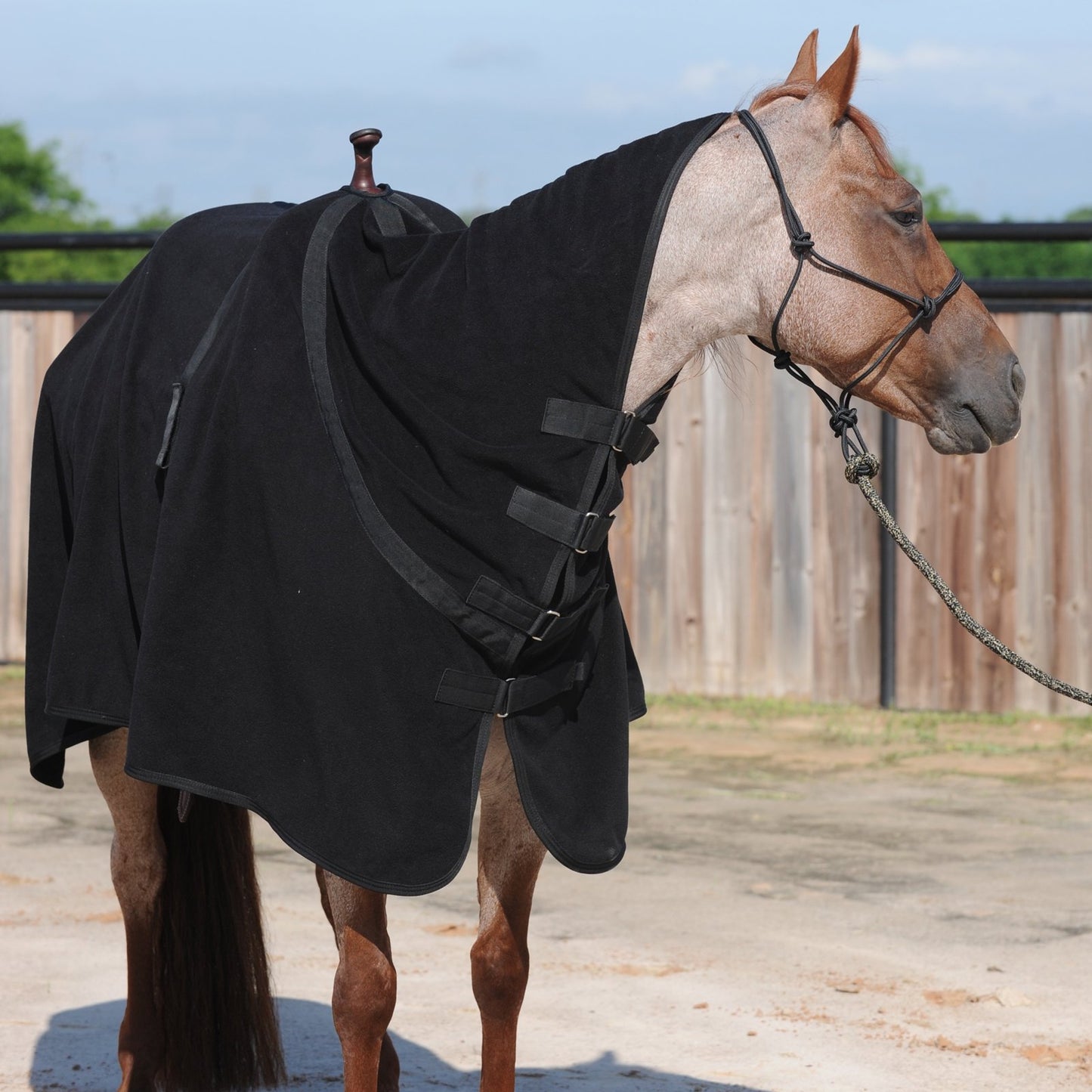 Classic Equine Polar Fleece Cooler Premium