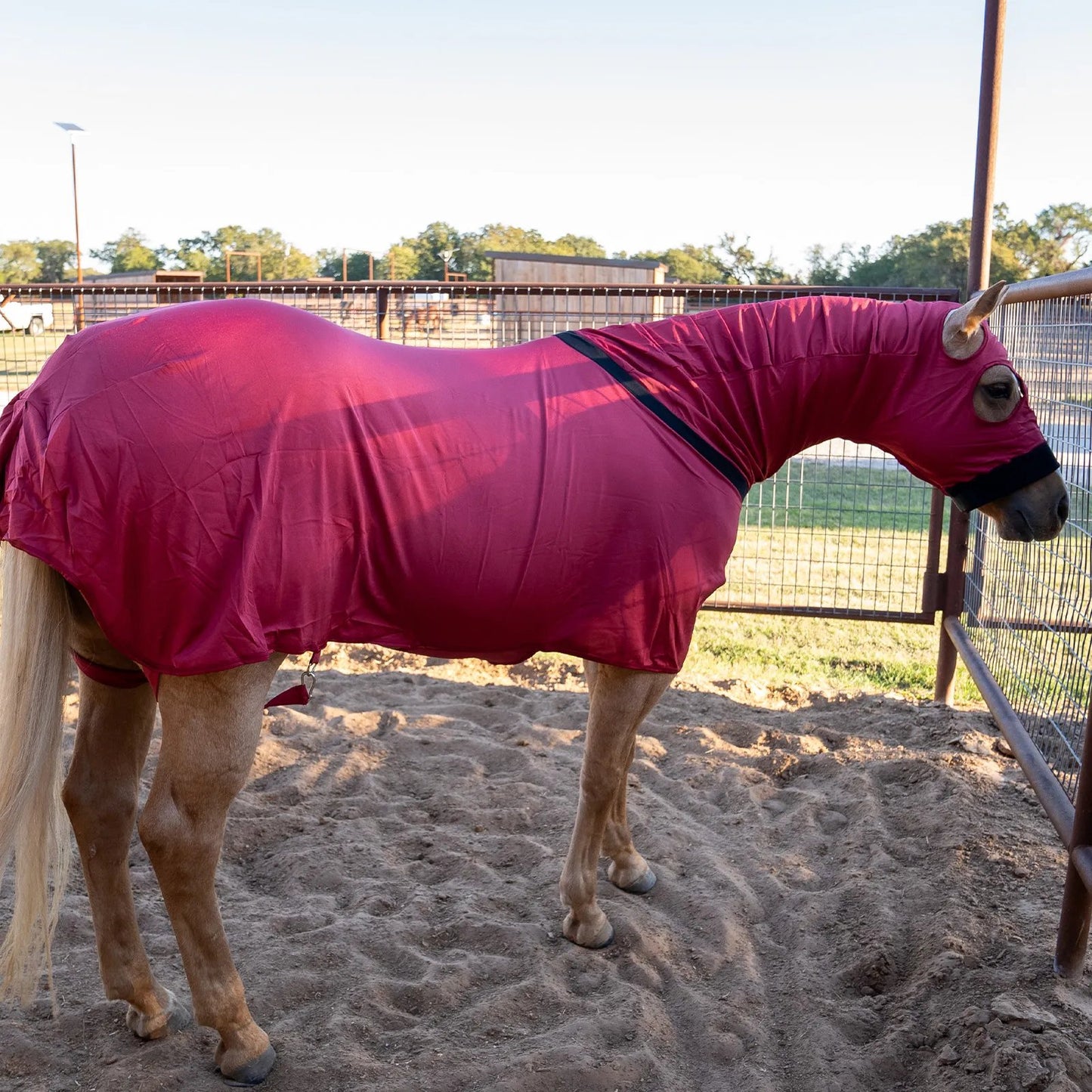 Classic Equine Full Body Slinky - Red