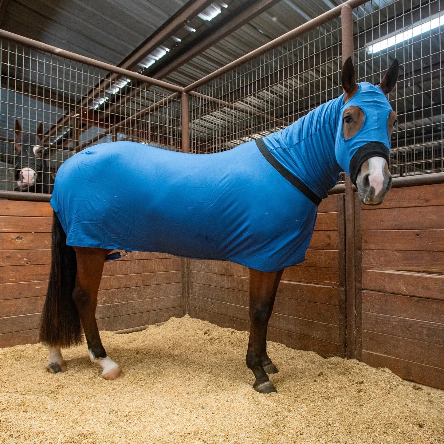 Classic Equine Full-Body Slinky - Dark Blue