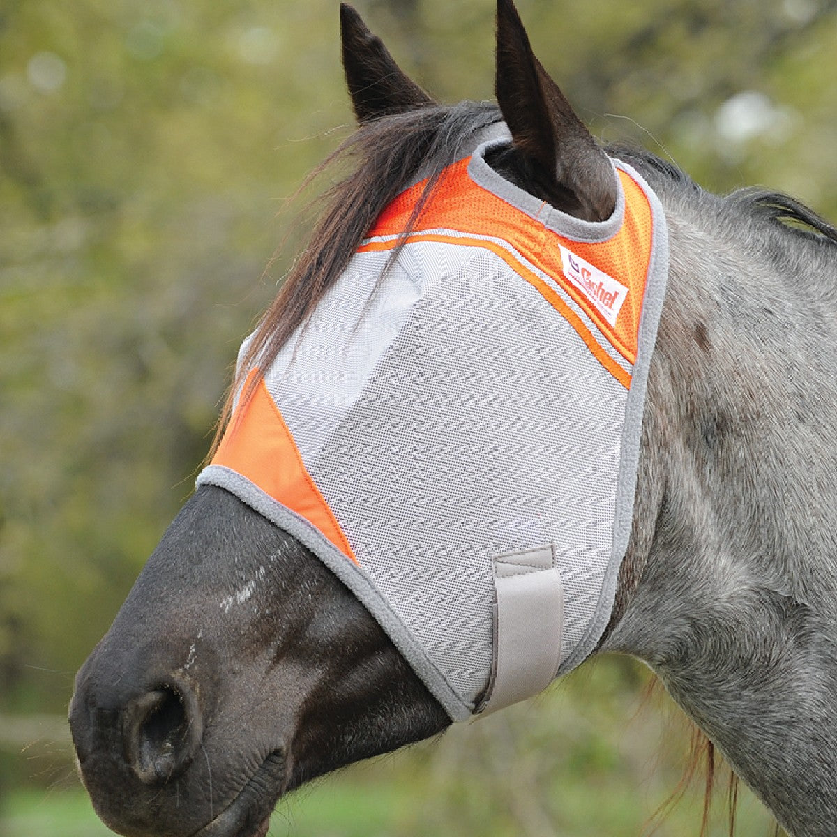 Cashel Crusader Standard Fly Mask with Color Trim