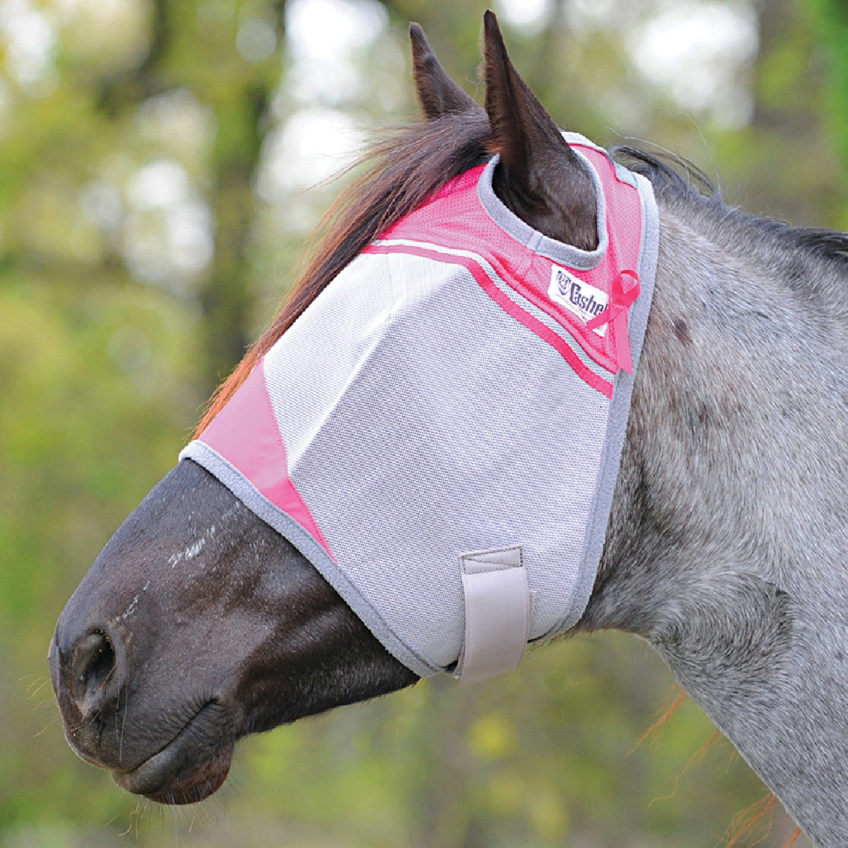 Cashel Crusader Standard Fly Mask with Color Trim