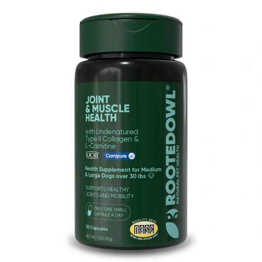 Rooted Owl Pet Joint and Muscle Health