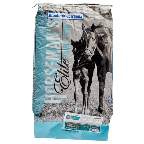 BLUEBONNET HORSEMANS ELITE MARE & FOAL ~ IN STORE ONLY!