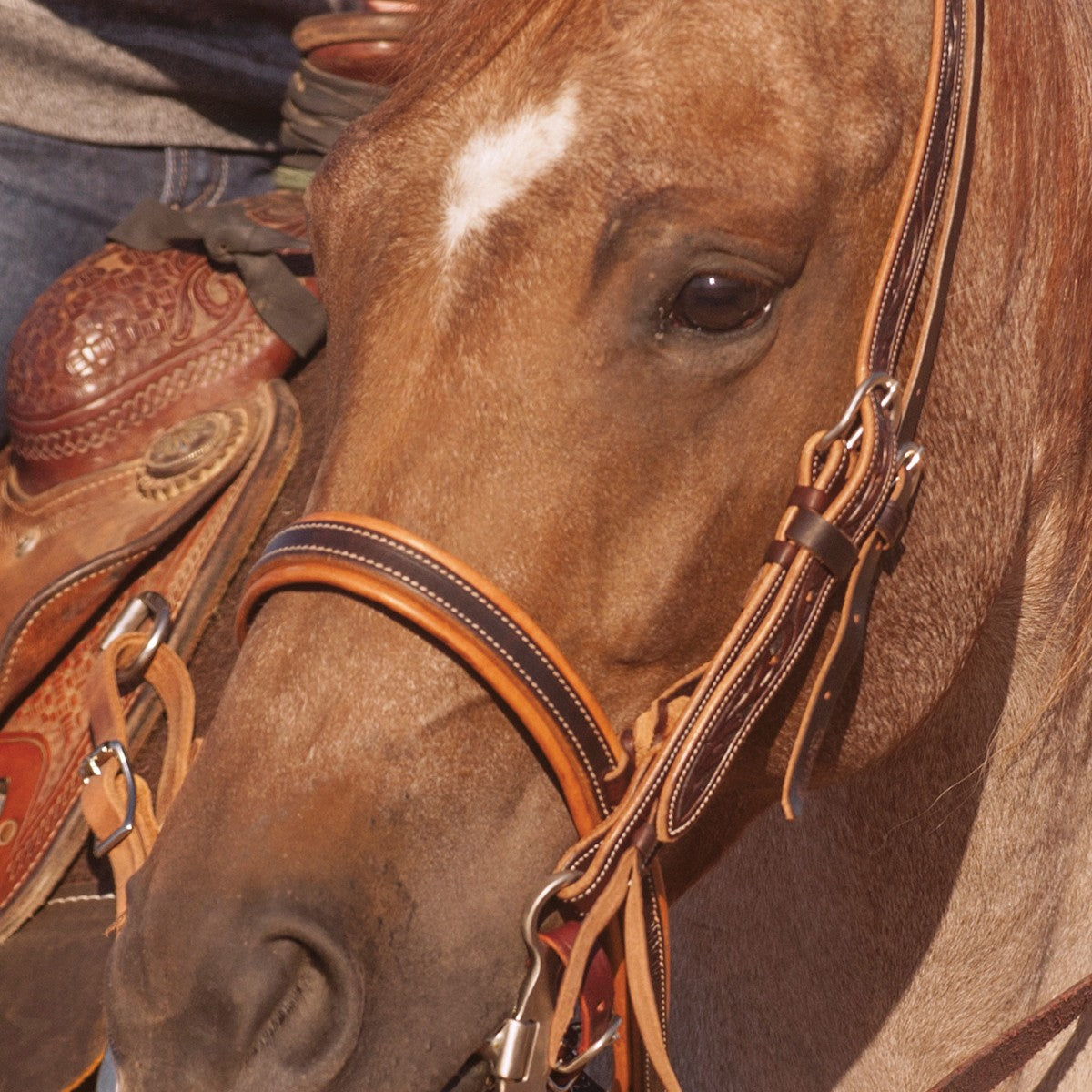 CHOCOLATE HARNESS LEATHER NOSEBAND