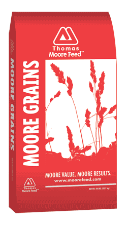 Moore Whole Oats ~ IN STORE ONLY!
