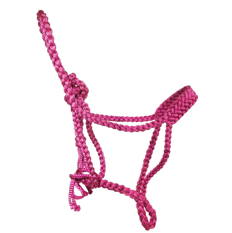 Soft Noseband Mule Tape Halter