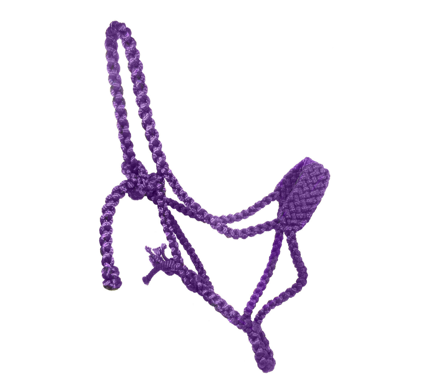 Soft Noseband Mule Tape Halter