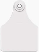 Allflex Blank Maxi Ear Tags 25 ct.