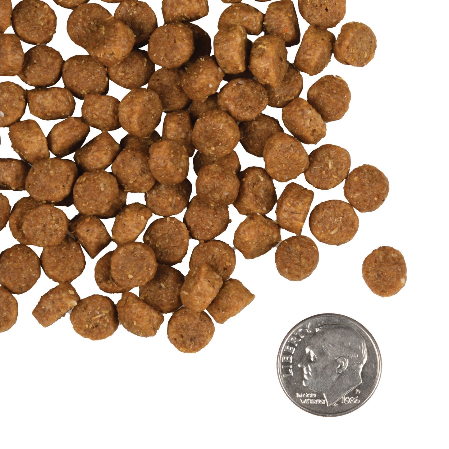 Fromm Gold Dog Food "Puppy" 5lb