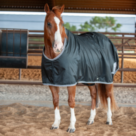 Classic Stable Sheet with Closed Front