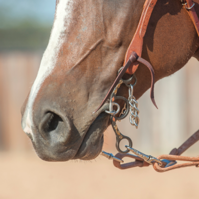 Sherry Cervi Diamond Shank Barrel Bit with Twisted Wire Dogbone