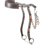 Floral Scroll Tool Box Hackamore