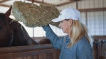 The Sport LT Hat x Classic Equine