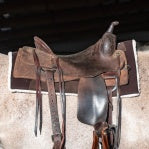 Performance Trainer Saddle Pad with Felt Top