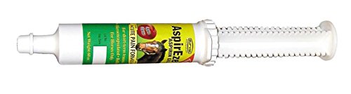Aspir-Eze Gel Apple Flavored Pain Aid