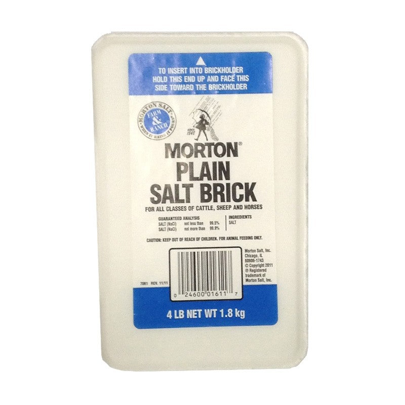 Morton Salt Brick