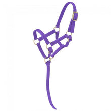 Tough-1 Miniature Nylon Halter