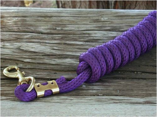 Weaver Poly Lead Rope with a Solid Brass 225 Snap, Purple