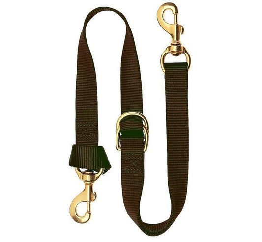 Nylon Tie Down Strap- Brown