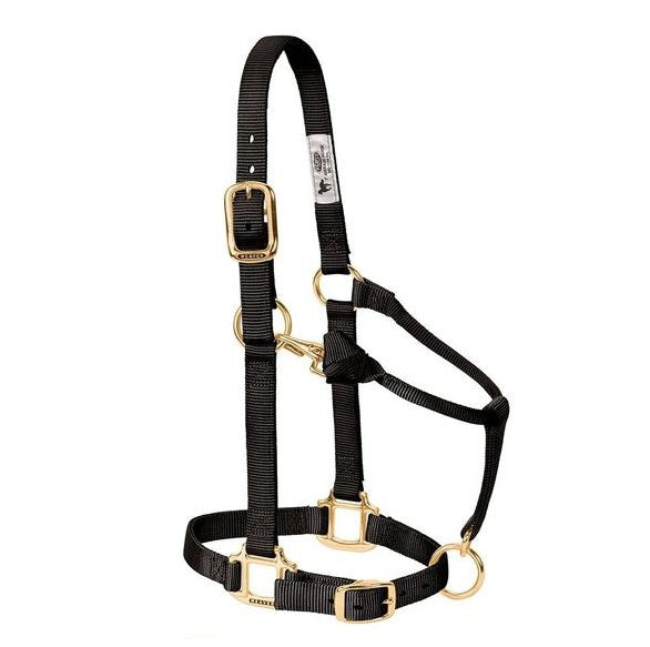 Weaver Non-Adjustable Nylon Halter-Multiple Colors