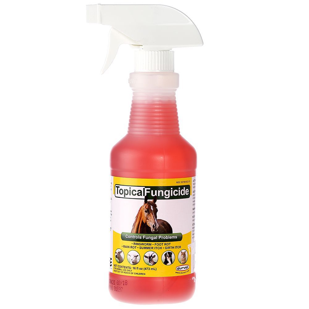 Topical Fungicide with Sprayer 1