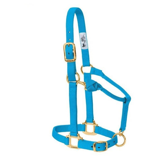 Weaver Non-Adjustable Nylon Halter- Hurricane Blue