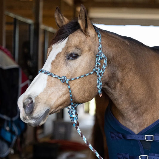 Rope Halter w/ Lead