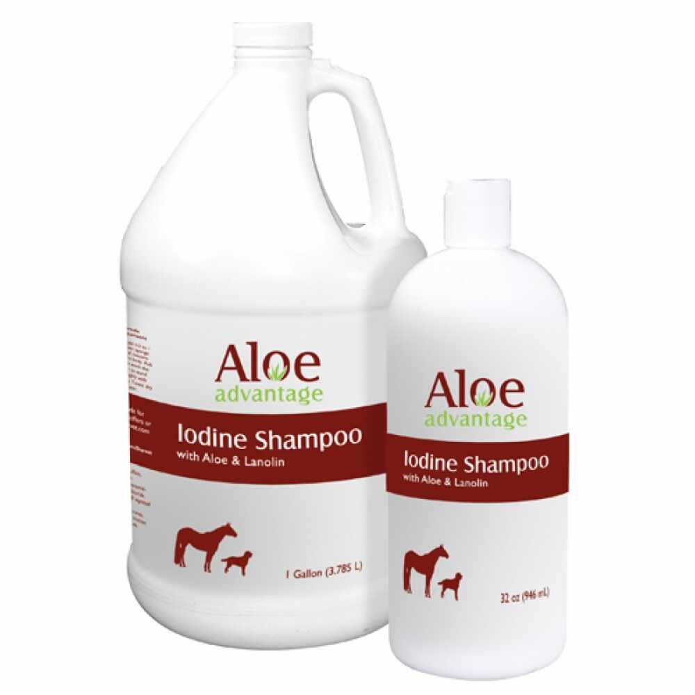 Aloe Advantage Iodine Shampoo 32 oz