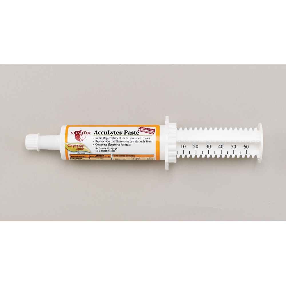 Acculytes Paste Electrolyte 60Cc Syringe
