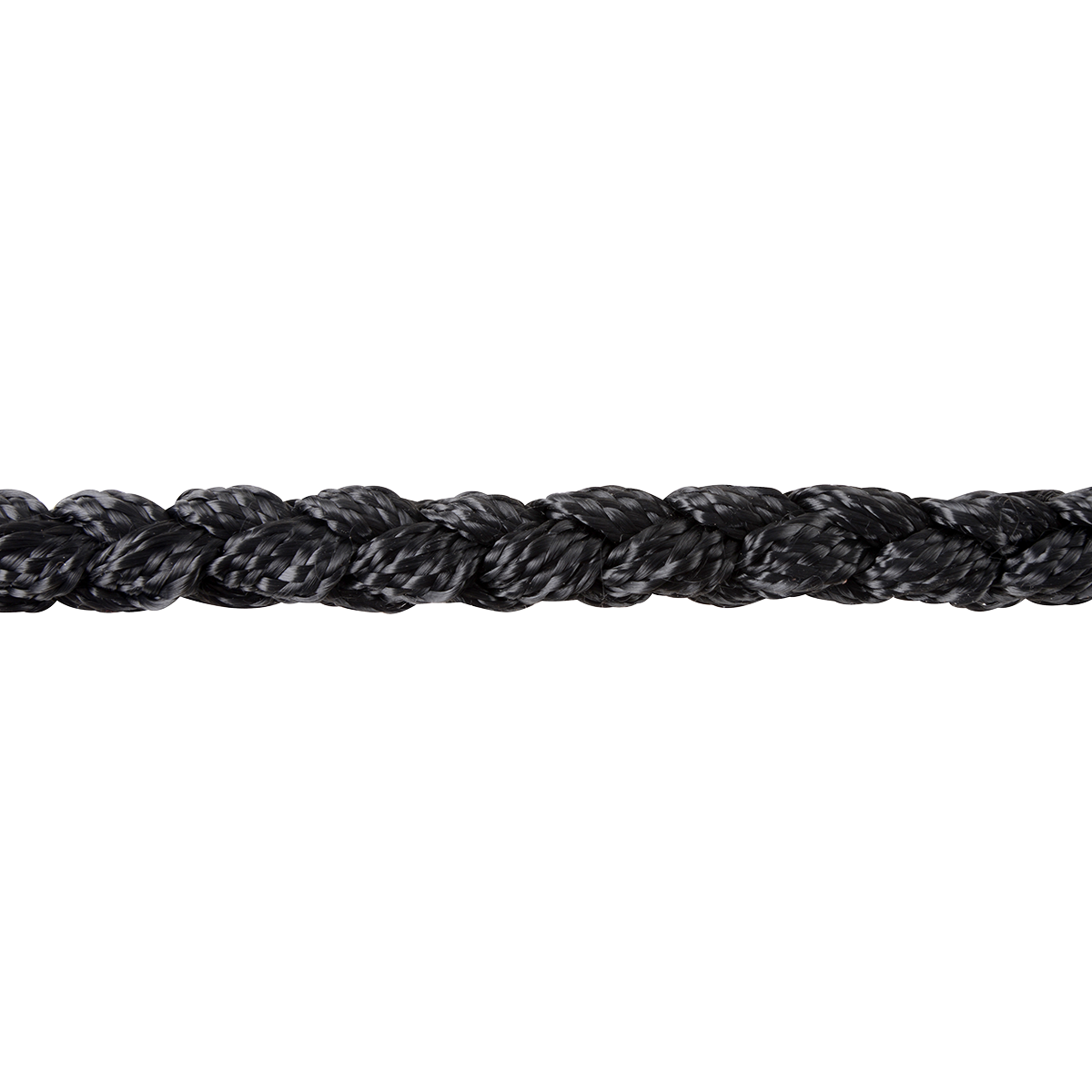 Martin Mule Tape Braided Rope Halter With Lead