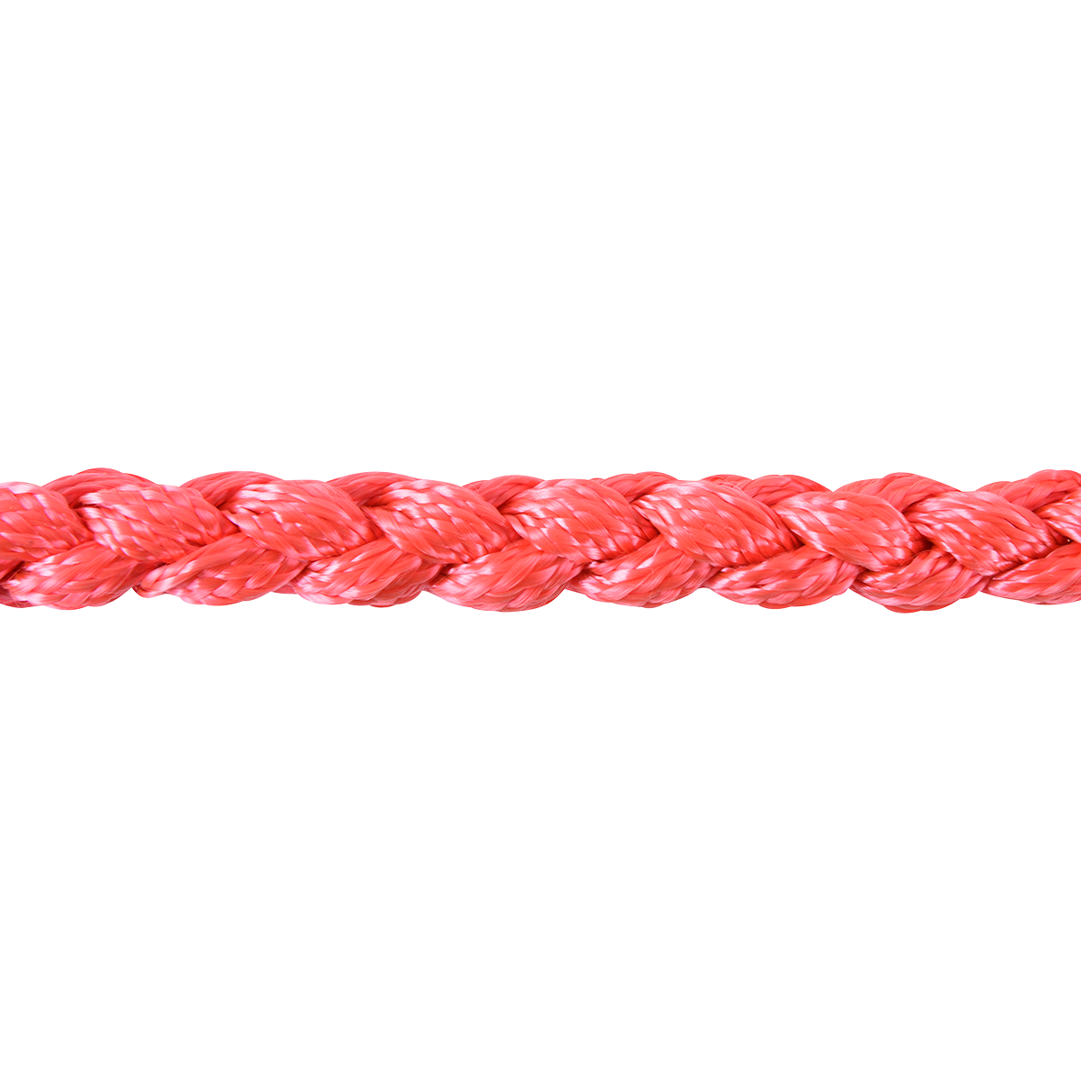 Martin Mule Tape Braided Rope Halter With Lead