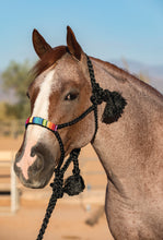 Professionals Choice Cowboy Braided Serape Halter