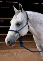 PC EASY ON ROPE HALTER