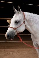 PC EASY ON ROPE HALTER