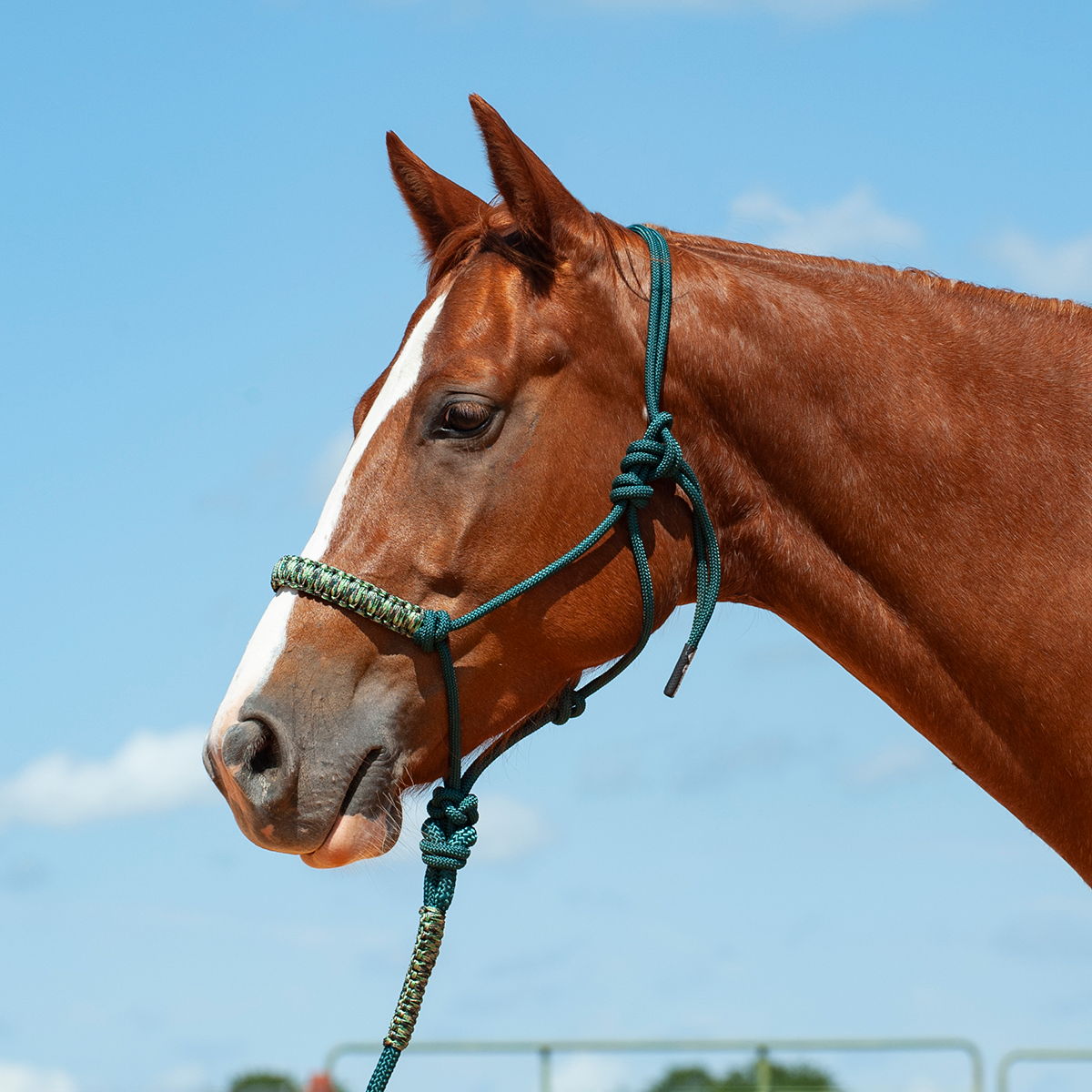 BRAIDED NOSE ROPE HALTER